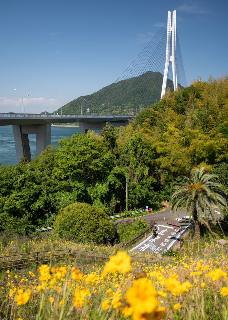 しまなみ海道の自転車旅