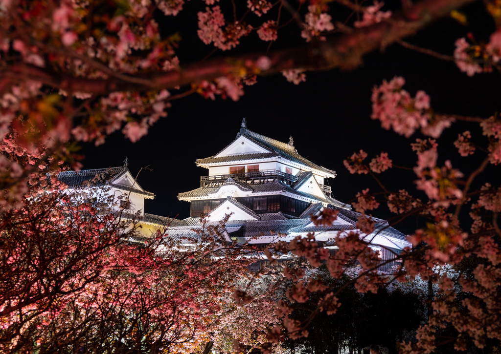 桜の天守閣