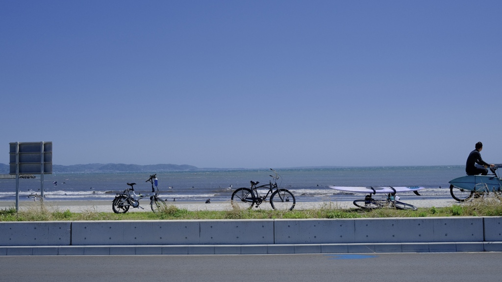 橋が見せる海の横顔