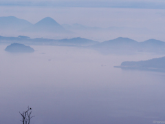 濃霧の朝