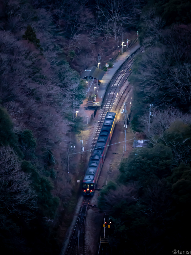 秘境駅坪尻の夜景