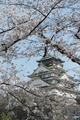コロナ禍の大阪城