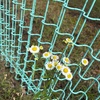 花を愛せる人になりたい。
