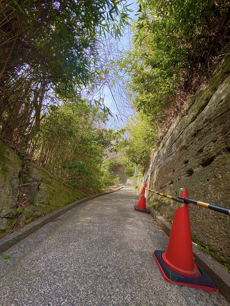 デートに向かない坂道を。