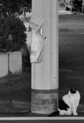 待ちぼうけ