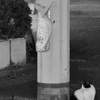 待ちぼうけ