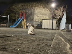 つかずはなれず。