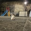 つかずはなれず。
