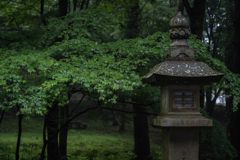 神社スナップ