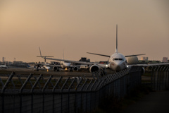 旅立ちまでのタイムリミット