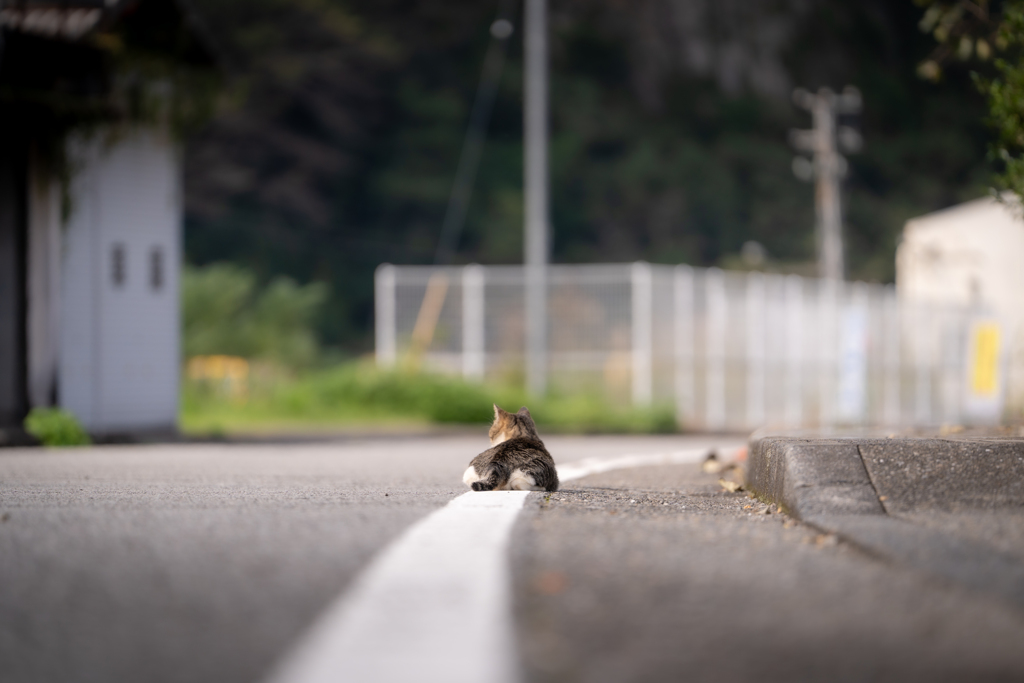 長閑な町