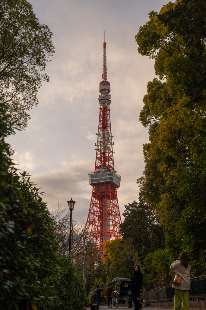 夕暮れ時の