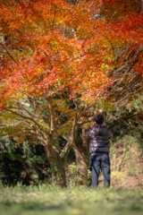 息子くん紅葉撮る！