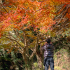 息子くん紅葉撮る！