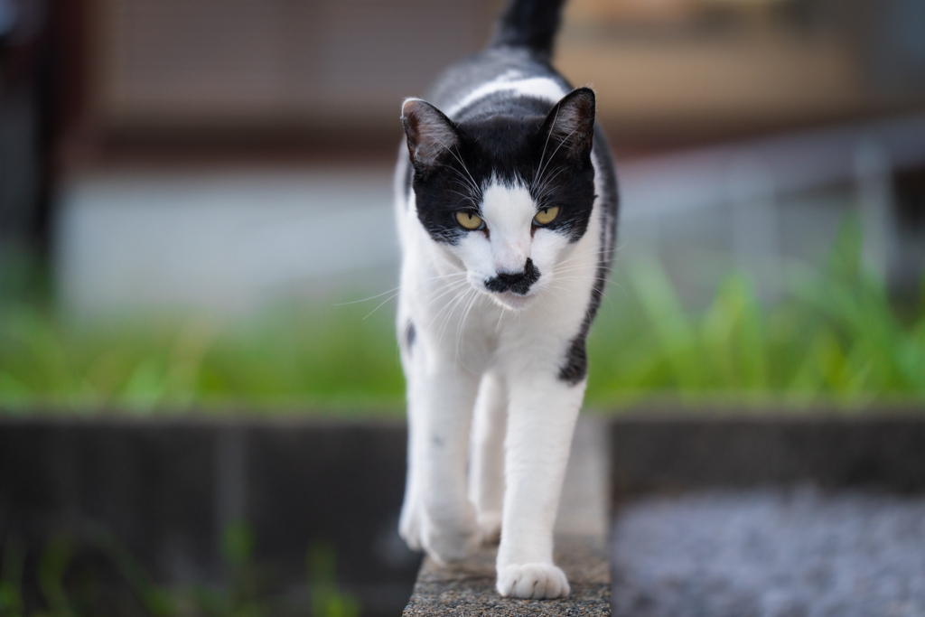 怒ってる？？