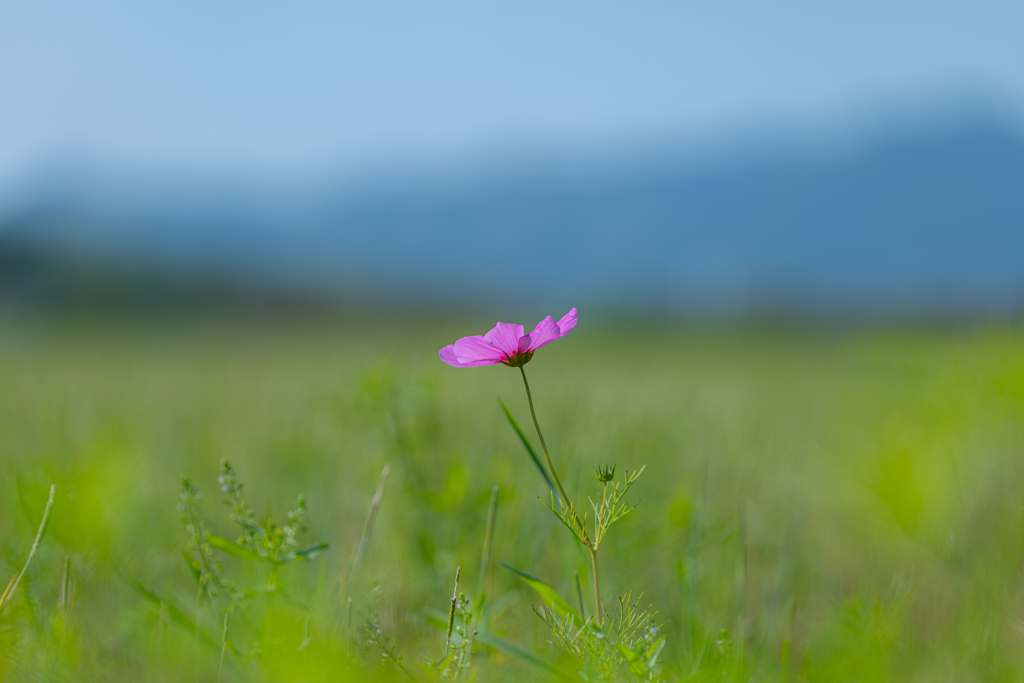 嫌いな季節がやってくる⤵︎