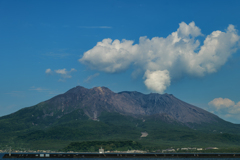 初桜島！