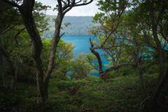 森の奥の湖