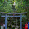 東霧島神社