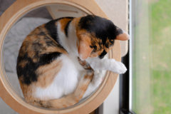 最近お気に入りの場所