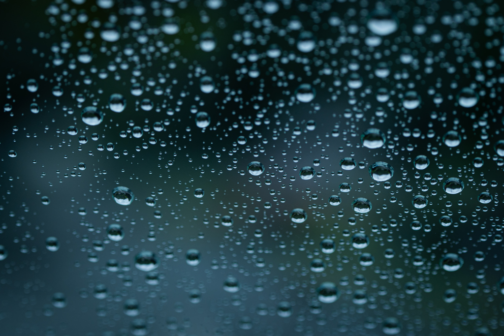 梅雨はいやだね〜