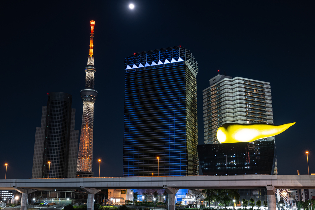 Sky tree