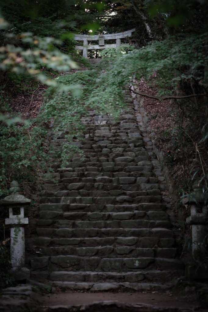 神域への道