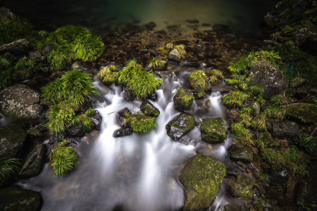 苔むす渓流