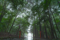 霧島神宮