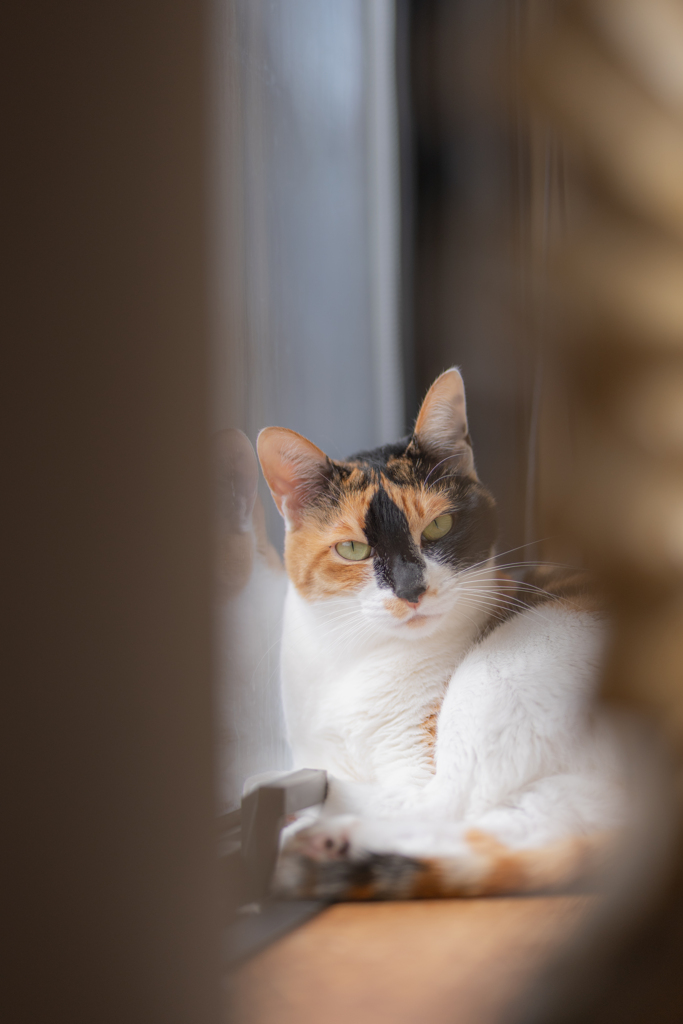 決して怒ってないです