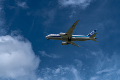 青空とANA