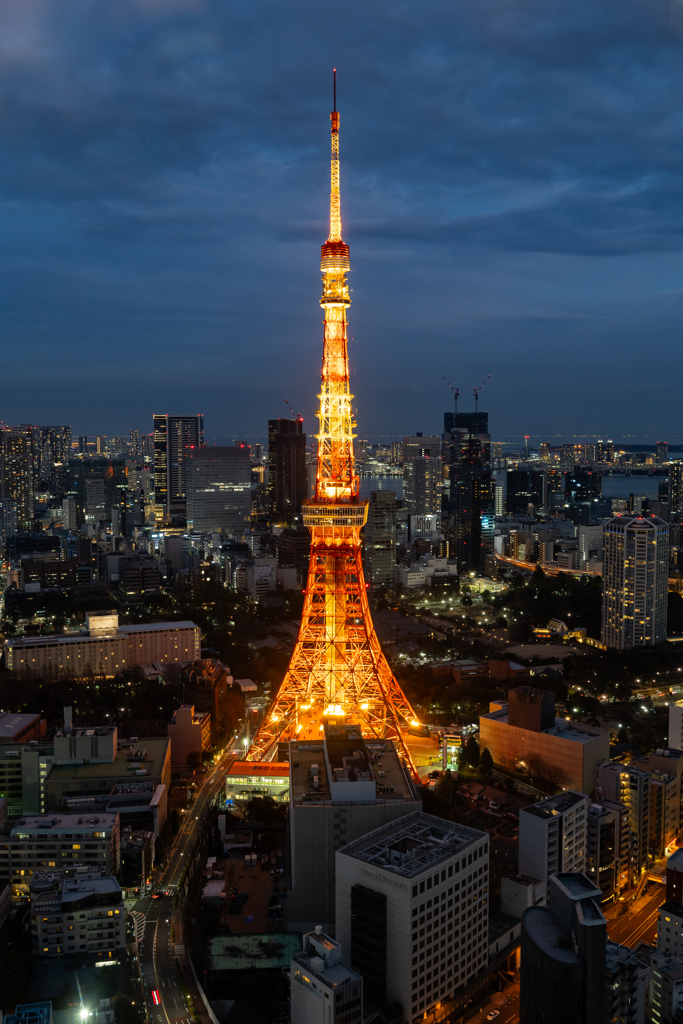 麻布台ヒルズから