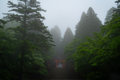 霧島神宮