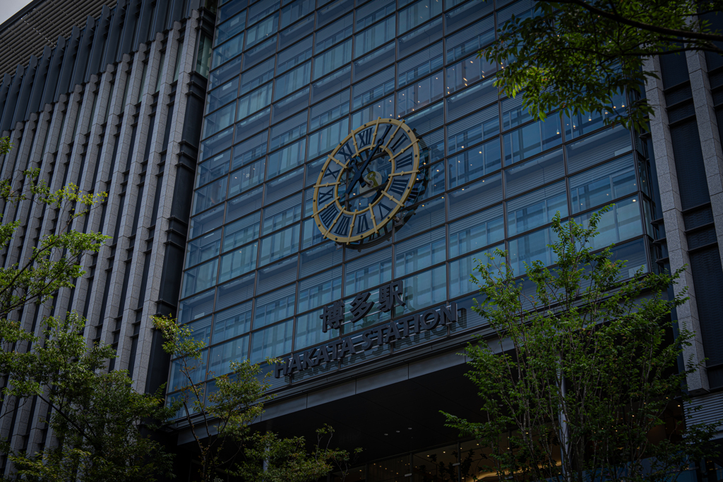 久しぶりの帰省