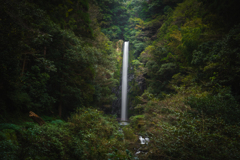 秘境の雫
