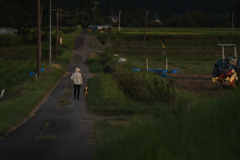 田舎の静けさ