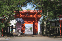 静寂の道
