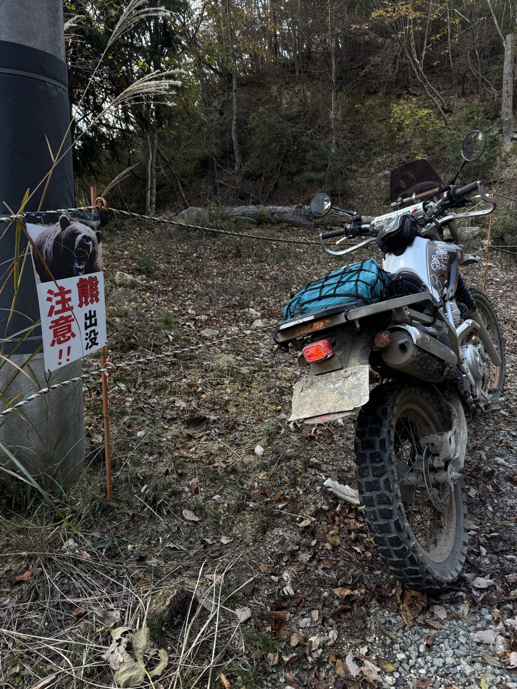 うーん 何処でも熊出没注意だなー