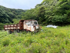 草原で お昼寝