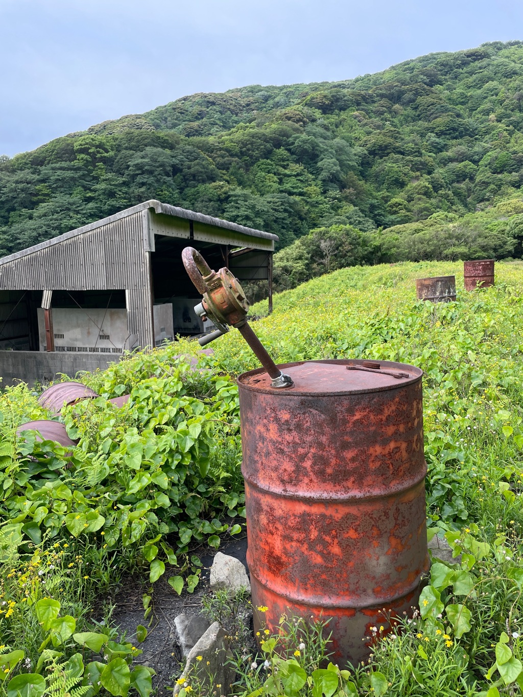 油を注がなくなったオイルポンプ