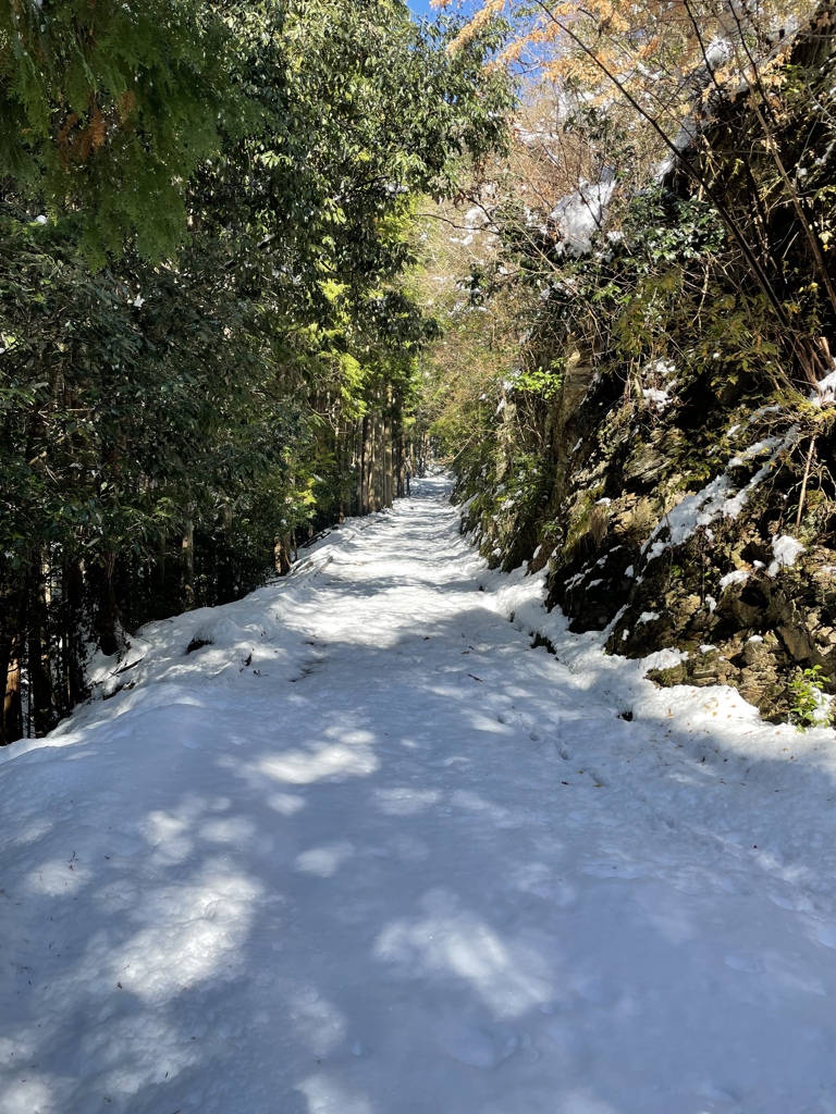 新雪林道ツーリング