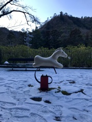 雪を駆ける白馬