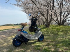 お散歩