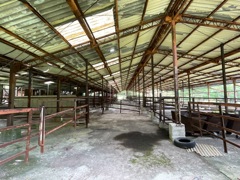 とある牧場跡②