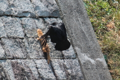 IMG_2698 (2)