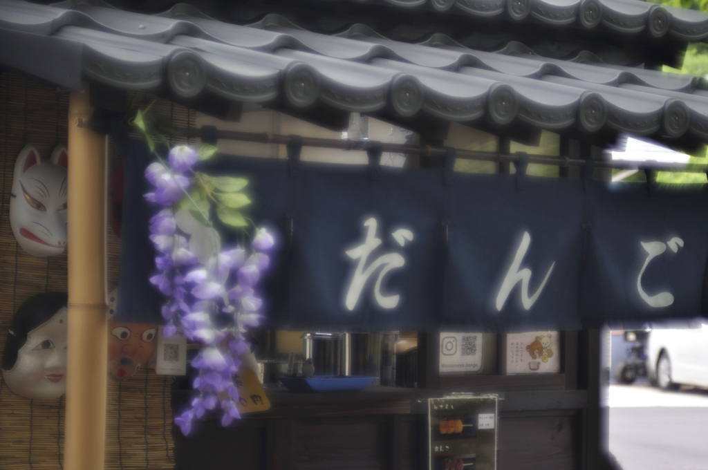 藤が見ごろ5