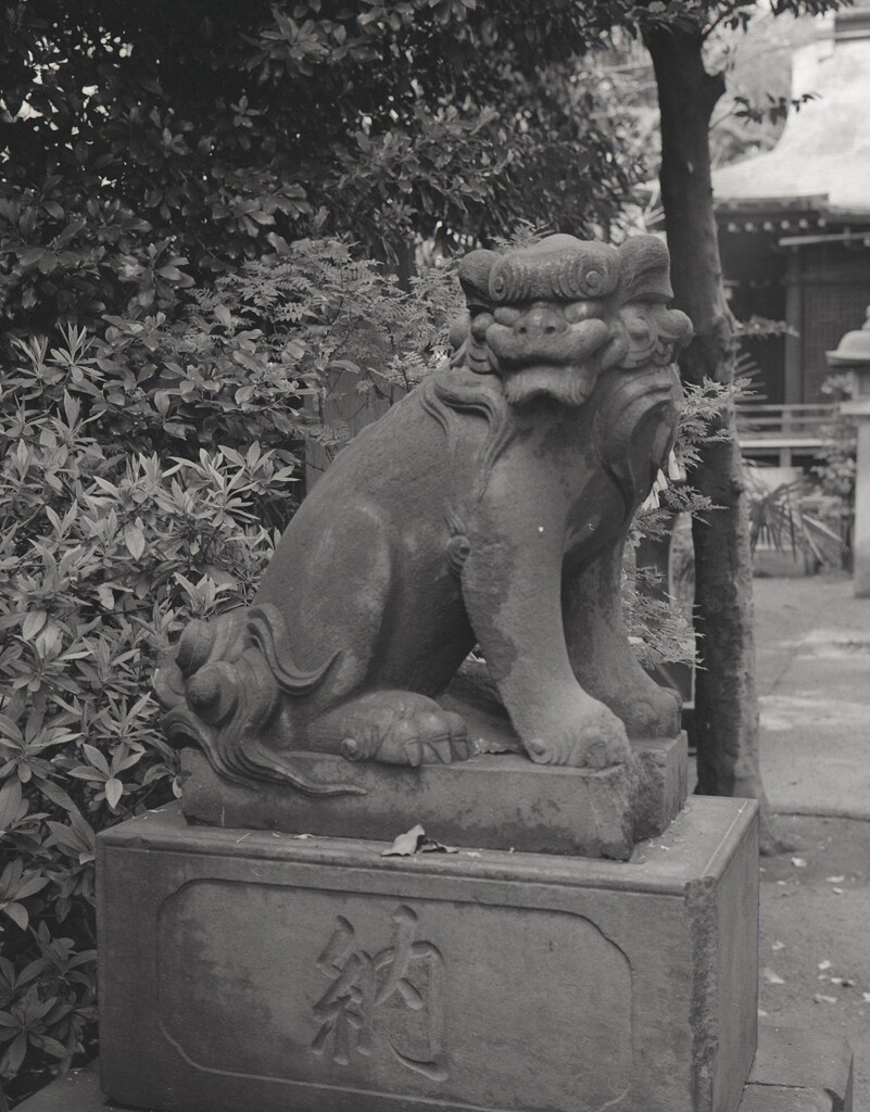 645ga010 - コピー (3)