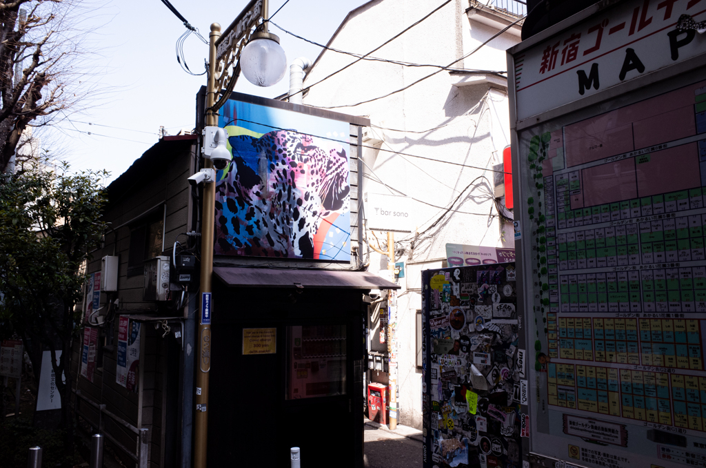 sinnjyuku (30 - 31)