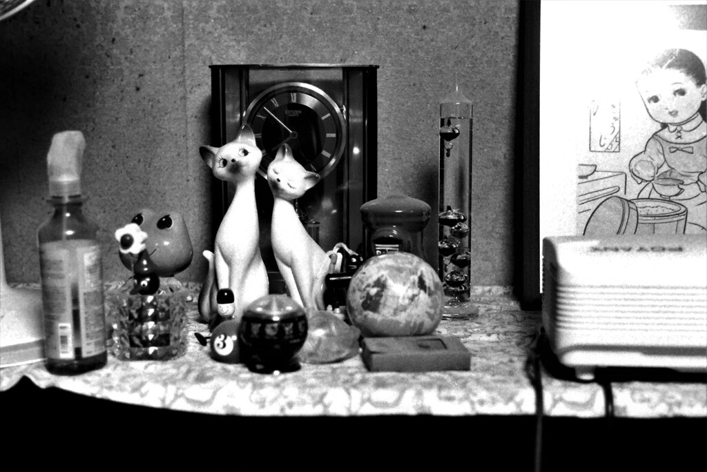 IMAG0354
