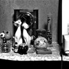 IMAG0354